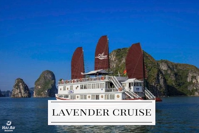 lavender cruise