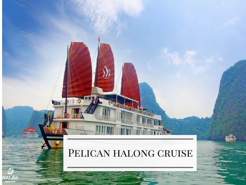 cruises-halongbay halong bay day cruises