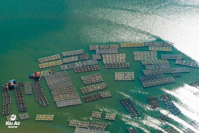 Landing on water by seaplanes to Halong Bay