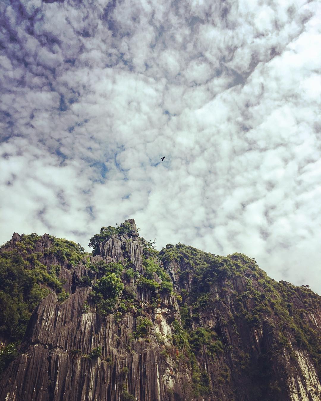 Halong Bay to photograph