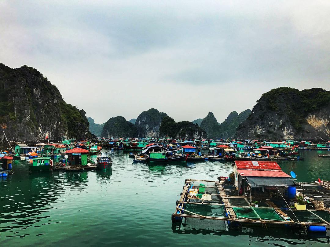 Halong Bay to photograph