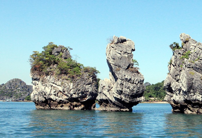 Halong bay tours