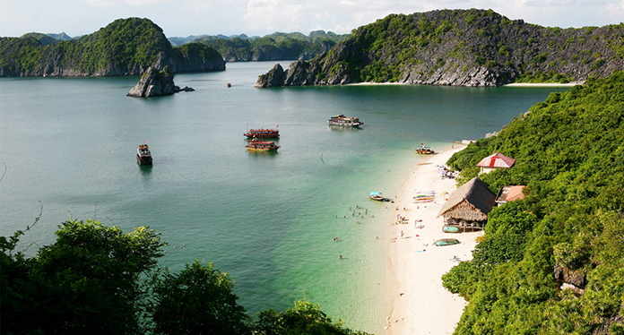 Halong Bay Tours