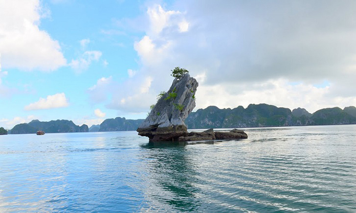 Halong Bay Tours