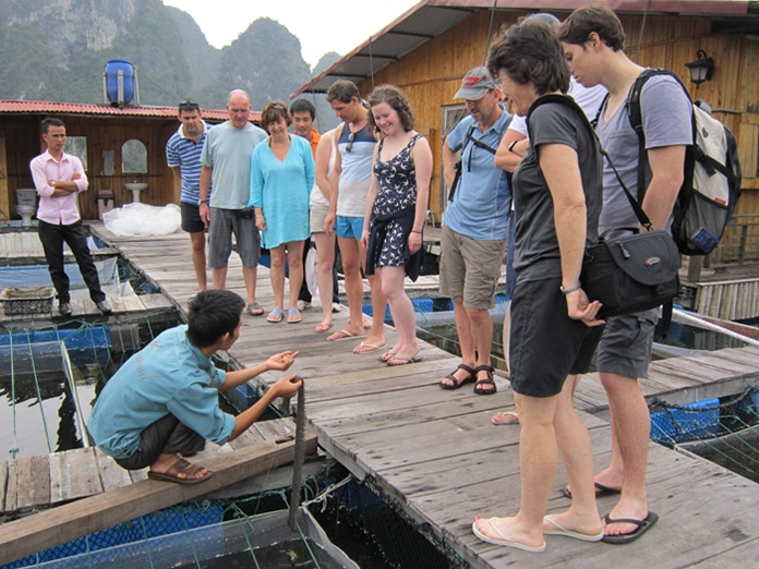 Halong Bay Tours