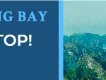 sightseeing flight halong bay